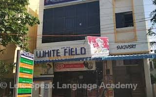 Let's Speak Language Training Academy Images photo 5